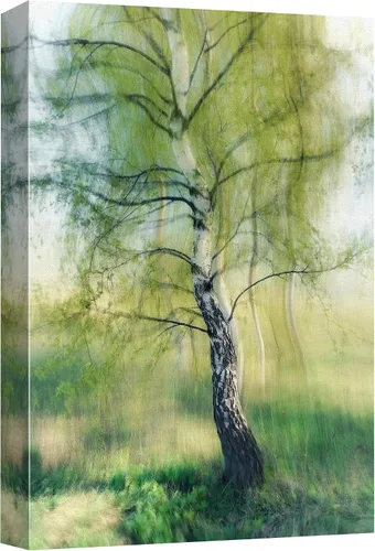 Vista 19 de SIGNFORD Lienzo impreso para pared, árboles de abedul dorados de otoño, bosque, decoración de guardería, paisaje decorativo, relajante, tranquilo