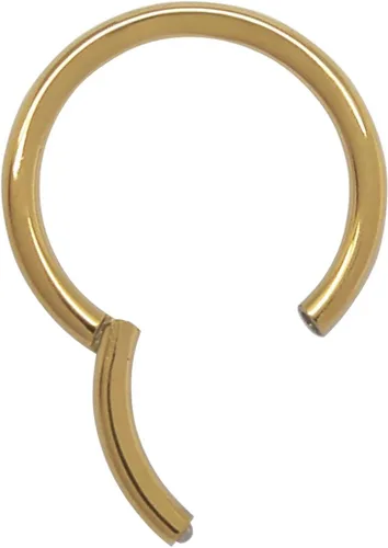 Vista 2 de 2 piercings de acero inoxidable 316L con bisagras, segmento de clicker, anillo de aro