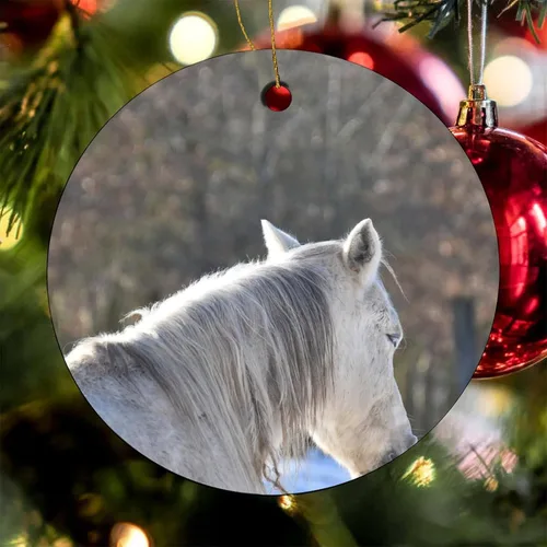 Vista 8 de Adornos para árbol de Navidad 2023, adorno de Navidad de caballo blanco, recuerdo festivo de porcelana, decoración de adornos de Navidad, ideas