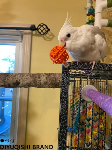 Vista 5 de Paquete de 10 juguetes para pájaros para loros, ratán natural y bolas