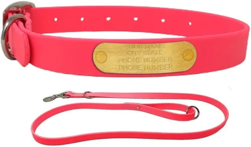 Vista 12 de Regal Dog Products Collares de perro pequeños negros impermeables con placa de nombre personalizada grabada Collar de perro de Biothane