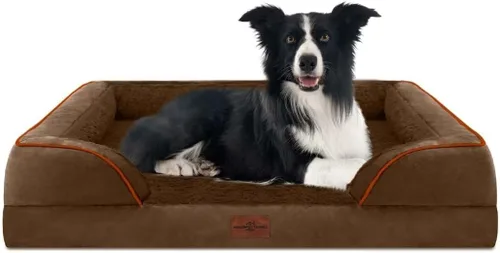 Vista 67 de Comfort Expression - Cama ortopédica para perros medianos, 28 x 19 pulgadas, cama impermeable y de apoyo de espuma con cojines removibles, sofá