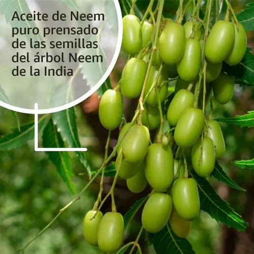 Vista 6 de Aceite de nim para pulimento de hojas, marca Dyna-Gro NEM-008., 8 onzas, Blanco