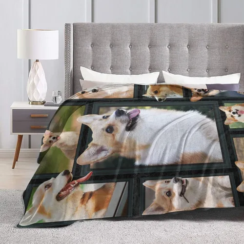 Vista 5 de Little Cute Corgi Dog Art - Manta suave de franela para diferentes personas y estaciones, adecuada para cama, sofá, camping, cine o viajes