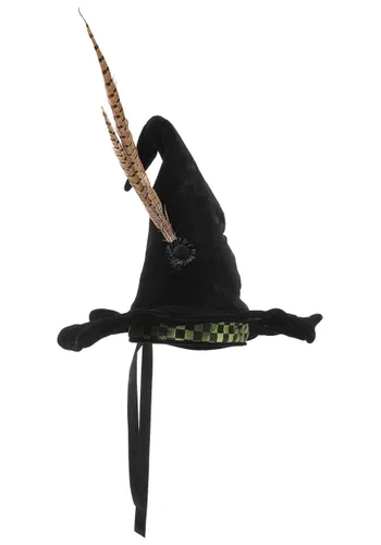 Vista 10 de Sombrero de Disfraz de Profesora McGonagall para Mujer Harry Potter Multicolor