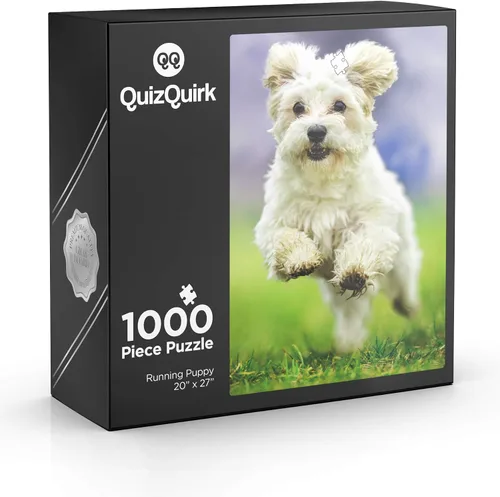Vista 5 de QuizQuirk - Rompecabezas de 1000 piezas para adultos y adolescentes (kit de ahorro de rompecabezas incluido)