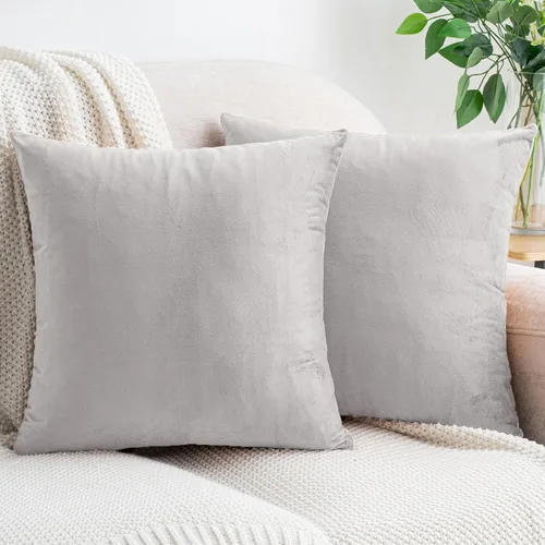 Vista 43 de HWY 50 fundas de almohada decorativas de terciopelo sólido para sofá, sala de estar., Terciopelo, gris, 20x20 pulgadas
