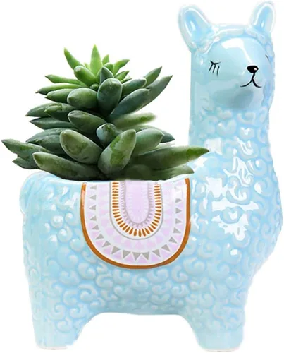 Vista 6 de Lindas macetas suculentas de alpaca maceta de cerámica pequeña cactus maceta azul