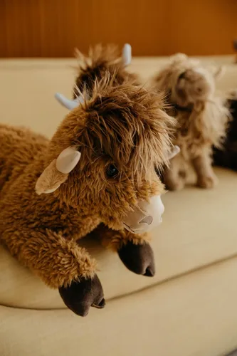 Vista 3 de The Petting Zoo Floppy - Peluche de vaca de las tierras altas, regalos para niños, animales salvajes de la vida silvestre Onez, juguete de peluche