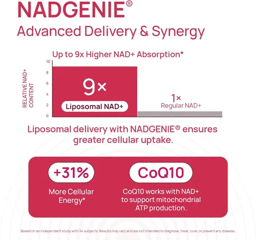 Vista 6 de Suplemento NAD+ para mujeres, alternativa NMN con β-NAD+, Trans-Resveratrol, CoQ10, D-Ribosa - Promueve la renovación celular, la energía y la salud