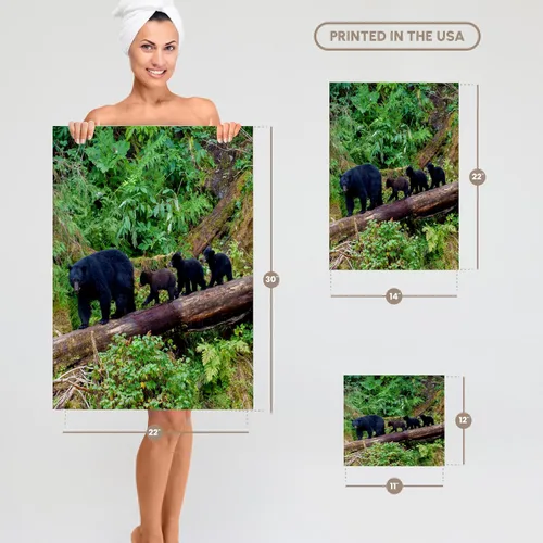 Vista 5 de 3dRose Black Bear Triplets Follow mom at ANAN Creek. 11x12 Wash Cloth for Face and Body