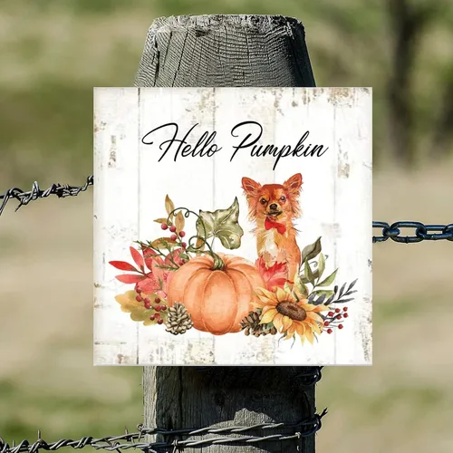 Vista 5 de Hello Pumpkin Boston Terrier Dog Wood Signs Pumpkin Farm Wall Plaque Gives Thanks Porch Sign Rustic Home Family Wall Decoration for Home Front Door