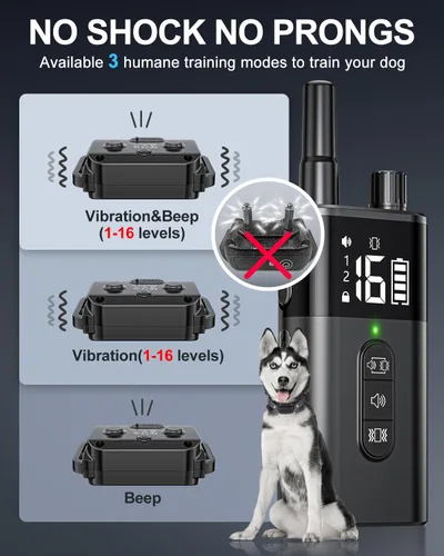 Vista 4 de Collar de entrenamiento para perros con control remoto para 2 perros, 10-120 libras, 3300 pies, impermeable, sin golpes, collar de perro vibratorio