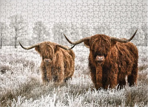 Vista 8 de MyPuzzle Hairy Scottish Highland Cattle in A Winter Landscape - Rompecabezas prémium de 100 piezas para adultos