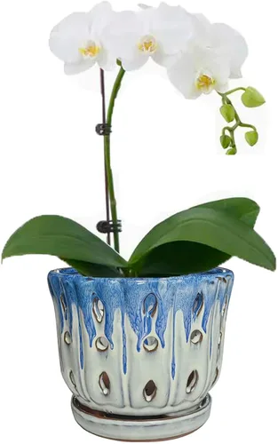 Vista 15 de Maceta de Cerámica para Orquídeas con Platillo Adjunto y Agujero de Drenaje de 6 Pulgadas (Negro)