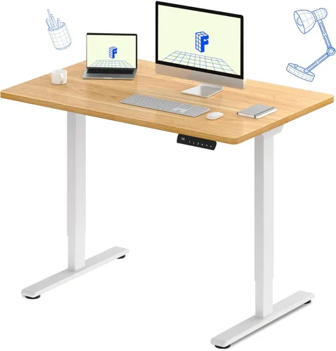 Vista 19 de FLEXISPOT Escritorio eléctrico de pie E3 con motor doble, 48 x 24