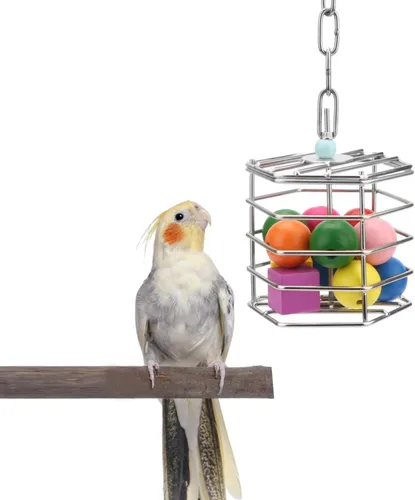 Vista 8 de Alimentador de forraje de acero inoxidable para pájaros, caja de alimentación colgante para guacamayo, cacatúa gris africana, cacatúa, jaula