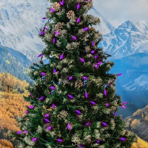 Vista 4 de Novelty Lights - Mini juego de 70 luces C6 LED de Navidad, serie de luces de grado comercial para exteriores, cable verde, 24 pies