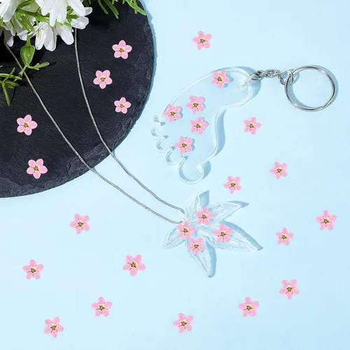Vista 3 de Timtin - 100 unidades de flores secas naturales Forget Me Not - Prensa seca real, color rosa