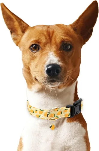 Vista 5 de Collar de algodón para perro, suave y lindo con diseño estampado de limón para hembras, hembras, machos, collar de mascota con hebilla ajustable
