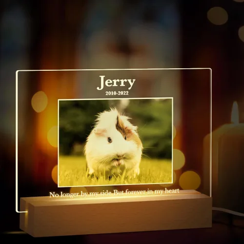 Vista 12 de Regalos conmemorativos personalizados para perros por pérdida de perro, regalos conmemorativos para mascotas para perros y gatos, placa fotográfica