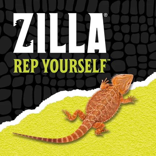 Vista 8 de Zilla Herp Hotel, plataforma naturalista para geckos leopardo, dragones barbudos, anoles, mediano