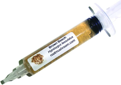 Vista 35 de Cultivo líquido de hongos/cabeza de oso (Hericium americanum)