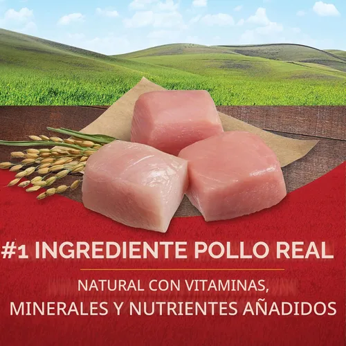 Vista 4 de Purina ONE SmartBlend - Alimento seco natural para perros adultos Alimento para perros con alto contenido de proteínas con equilibrio microbiómico
