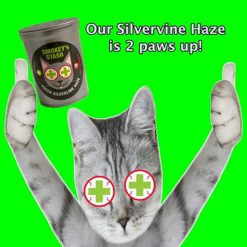 Vista 5 de Smokey's Stash Silvervine Haze - Potente mezcla de hierba gatera y vid plateada para gatos