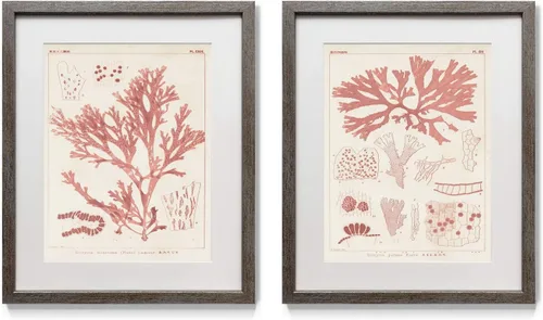 Vista 19 de Renditions Gallery Antique Coral in Navy (1) 2 Piece Framed Artwork Set, Underwater Ocean Themed Pair, Blue, Modern Distressed Silver Frame, White