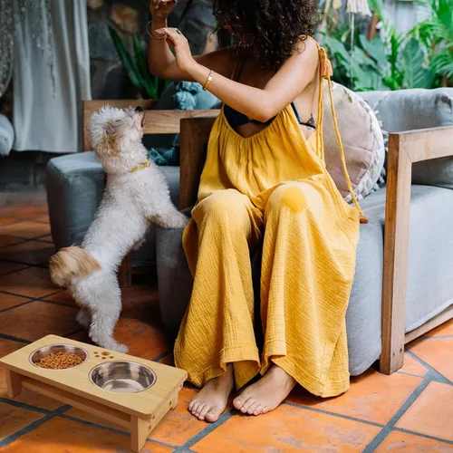 Vista 8 de HTB Cuencos elevados para perros, soporte elevado para perros con 2 cuencos de acero inoxidable, cuencos elevados para perros grandes, medianos