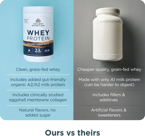 Vista 7 de Ancient Nutrition Proteína de suero alimentada con pasto, Chocolate Maní, 23g de proteína, 18 porciones, Péptidos hidrolizados de colágeno, Proteína