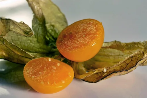 Vista 7 de Semillas Linterna China Señora Madonna Physalis Cabo Grosella Espinosa Naranja No GMO Heirloom