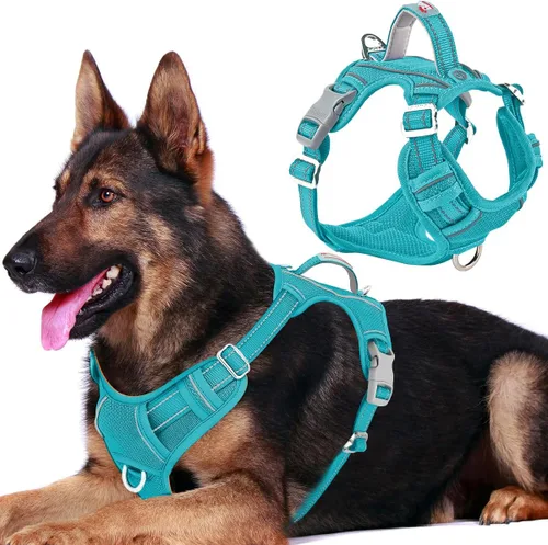Vista 56 de BARKBAY Arnés Oxford sin tirones para perro con bolsillo para etiqueta de identificación, resistente, reflectante, fácil control para perros grandes