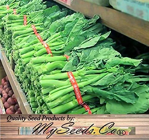 Vista 4 de Paquete grande - Semillas sin transgénicos de MySeeds.Co