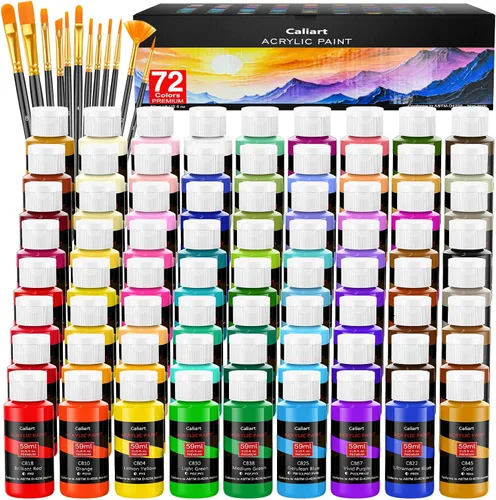 Vista 8 de Caliart - Juego de pintura acrílica iridiscente de 24 colores camaleón con 12 pinceles Craft Painting kit for Adults Artists Beginners, Rich