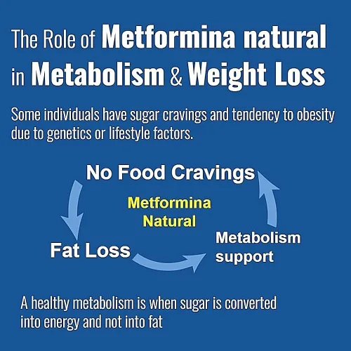 Vista 5 de METFORMINA Natural - Ayuda para bajar de peso - Apoyo al metabolismo - Dr. Salomon (60 cápsulas)