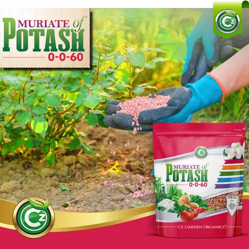 Vista 4 de Muriate de potasa 0-0-60 fertilizante fabricado en EE. UU. - MOP alimento potásico para plantas y jardines de flores – ¡Promueve grandes flores!
