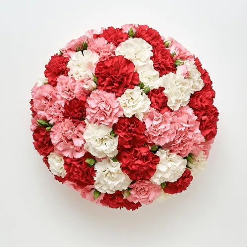 Vista 11 de GlobalRose 200 flores de clavel rosadas – Claveles de flores frescas de origen responsable – Ramo fresco seleccionado a mano para graduación