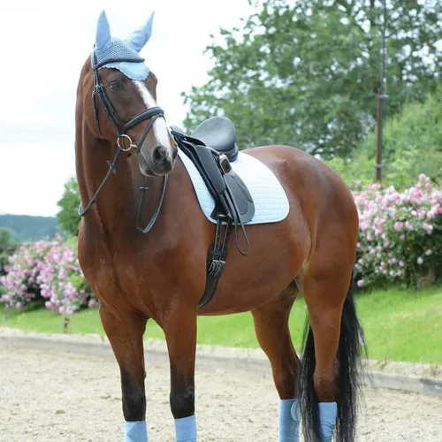 Vista 9 de WeatherBeeta Prime Ear Bonnet, Olive, Full
