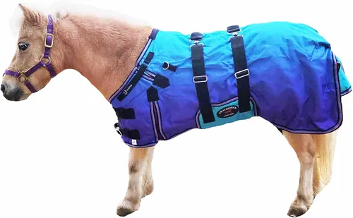 Vista 7 de CHALLENGER 1200D Foal Winter Blanket Miniature Pony Donkey Bellyband Turquoise Rustic