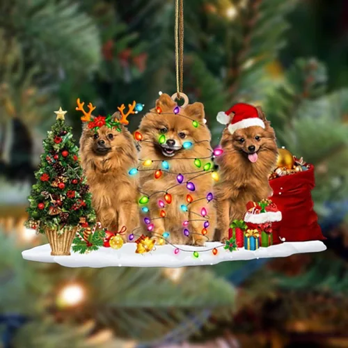 Vista 37 de Nazenti Adorno de Navidad personalizado con amigos Affenpinscher – Adorno de perro personalizado para amantes de las mascotas, acrílico plano