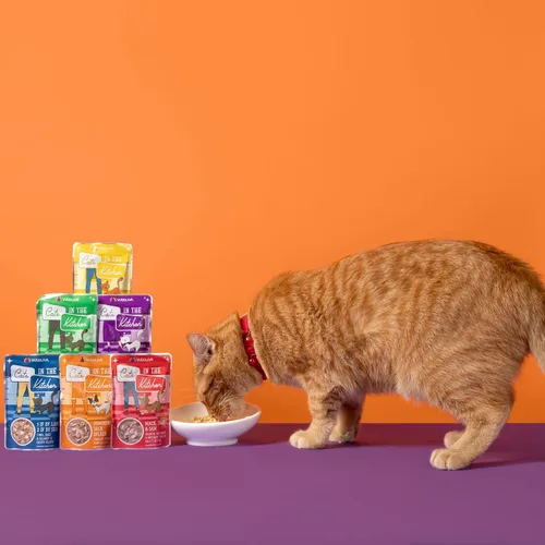 Vista 9 de Weruva Gatos en la Cocina, 1 si es por tierra, 2 si es por mar con atún, ternera y salmón en salsa, comida para gatos, 3 onzas, sobre (paquete de 12)