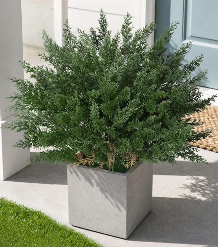 Vista 18 de Tallos de cedro artificiales Ivydale, ramas de pino Norfolk artificiales para decoración de Navidad, 12 tallos de pino falsos con 2 ramas de conos