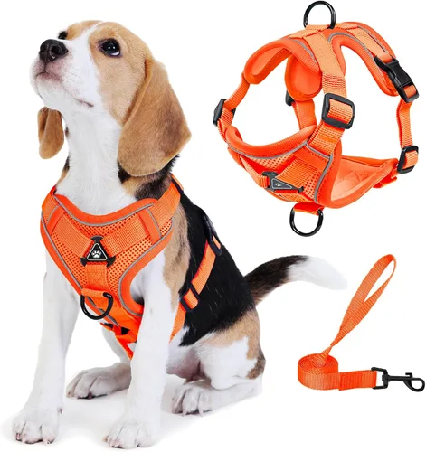 Vista 7 de Arnés para perro Jolifield sin tirones con juego de correa para perros pequeños, arnés de chaleco para gatos con clip frontal ajustable reflectante