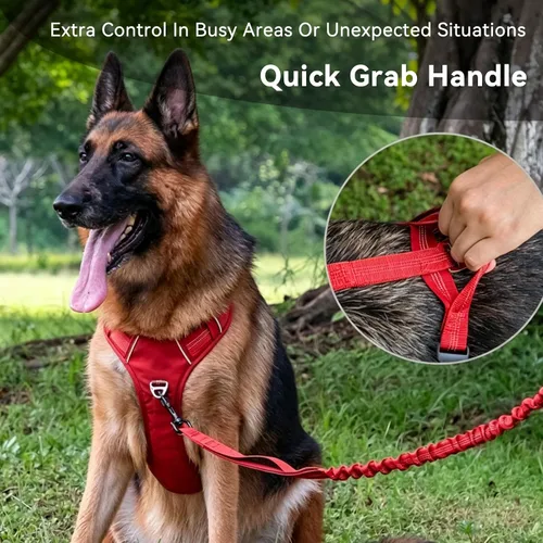 Vista 7 de Arnés para perro sin tirones, chaleco ajustable con clips de correa de metal delanteros y traseros, reflectante para paseos nocturnos seguros