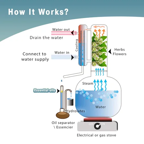 Vista 9 de Kit de destilador de aceites esenciales para la fabricación y extracción de aceite de destilación al vapor, equipo de destilación para el hogar