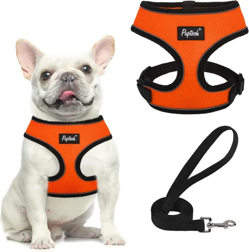 Vista 80 de PUPTECK Juego de arnés y correa de malla suave para perro, cachorro y gato, cómodo chaleco acolchado sin tirones, azul Pascua, S