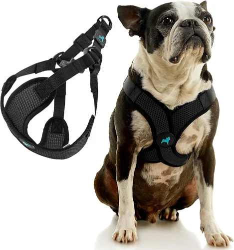 Vista 3 de Gooby Comfort X Step in Lite - Arnés para perro, sin estrangulamiento, sin escape, con malla ligera y transpirable, arnés para perros pequeños solo