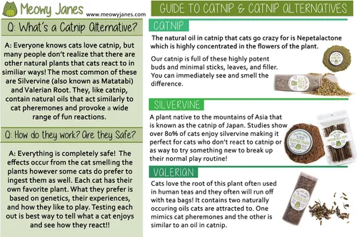 Vista 5 de Meowy Janes Catnip - Paquete de polvo variado alternativo de hierba gatera Keef, polvo de vid plateada y polvo de raíz de valeriana en polvo